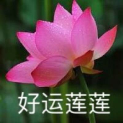 雅博体育app官方入口截图